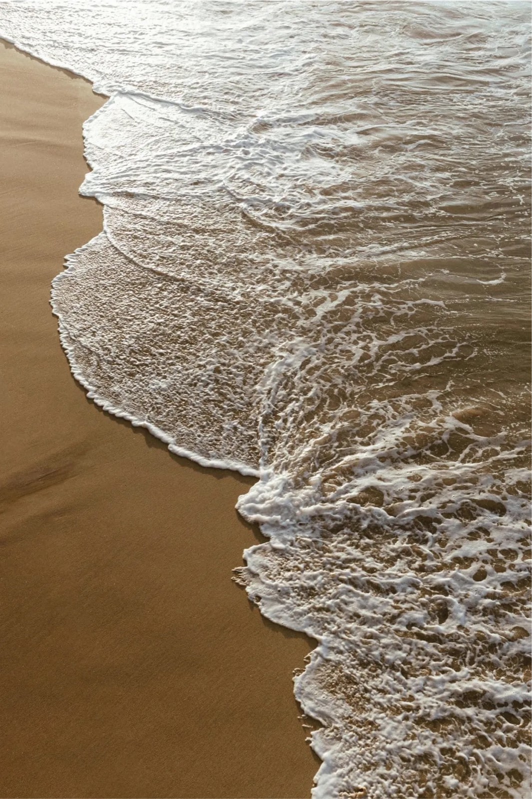 Shoreline at Palm Jumeirah, the setting for The Alba Residences