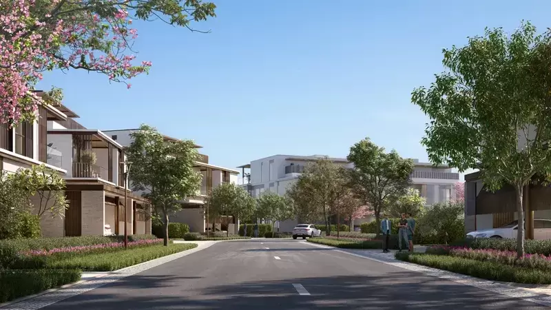 street-view.webp
